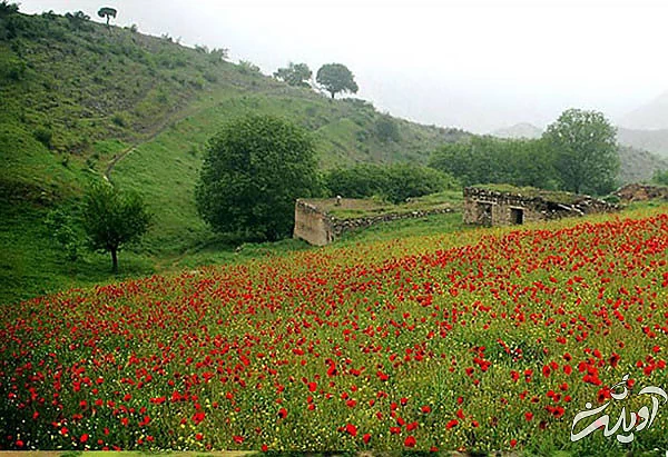 یونسکو، جنگل های ارسباران را در فهرست میراث جهانی قرار نداد یونسکو، جنگل های ارسباران را در فهرست میراث جهانی قرار نداد
